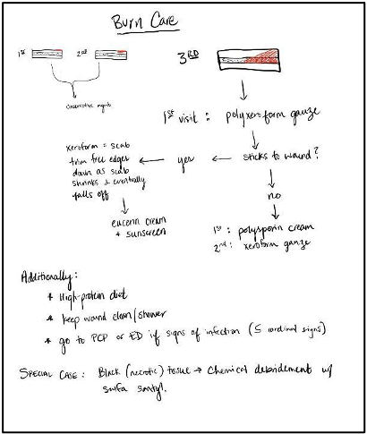 Figure 1: First iteration of burn education document