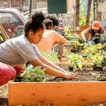 School Garden