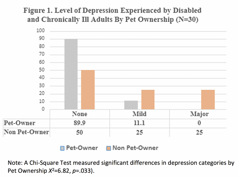 Figure 1. Level of Depression Experience by Disabled and Chronically Ill Adults by Pet Ownership (n=30)