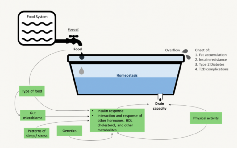 Figure 1: Bathtub Analogy