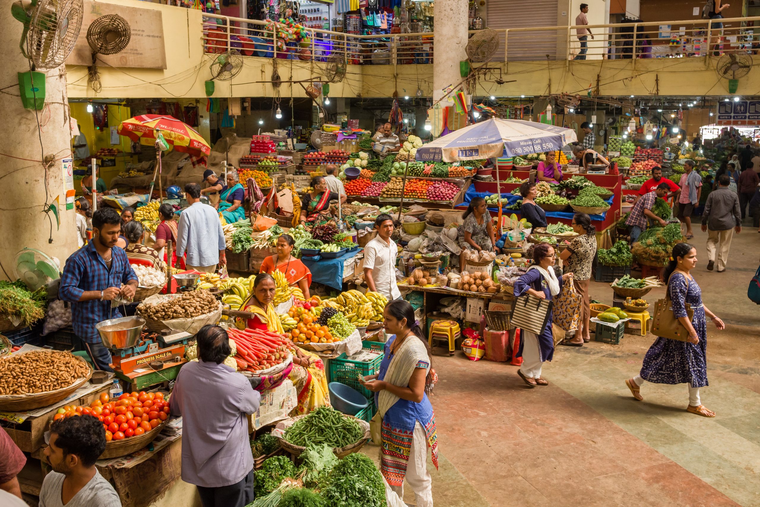 Dr. Ananya Awasthi discusses why we need knowledge translation to promote India's nutrition agenda?