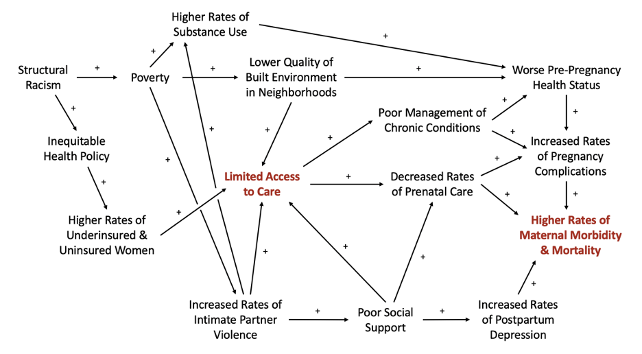 Maternal Mortality in the United States: A Focus on Health Disparities