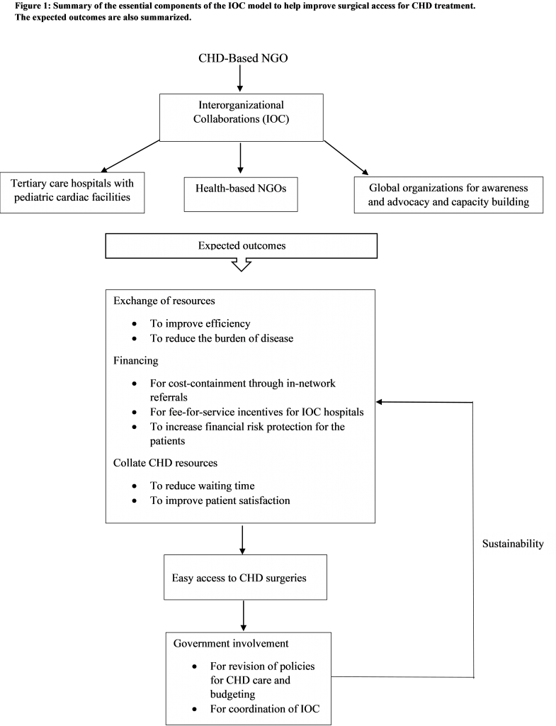 Interorganizational Collaborations and Improving Surgical Access to Pediatric Cardiac Care in Pakistan: A Non-Governmental Organization’s Perspective