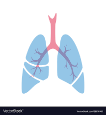 Brian Shim shares an overview of lung cancer, screening, and disparities