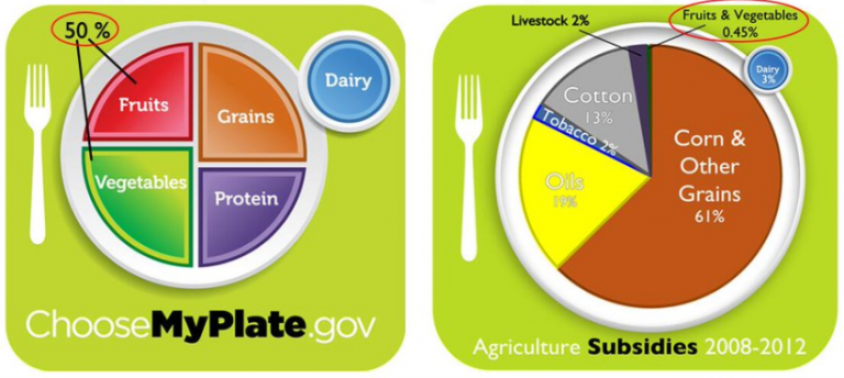 Myplate Vs Food Subsidies