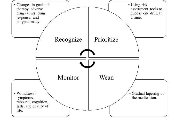 Figure 1. Describing Conceptual Framework (Adapted from Vasilevskis et al (2019)