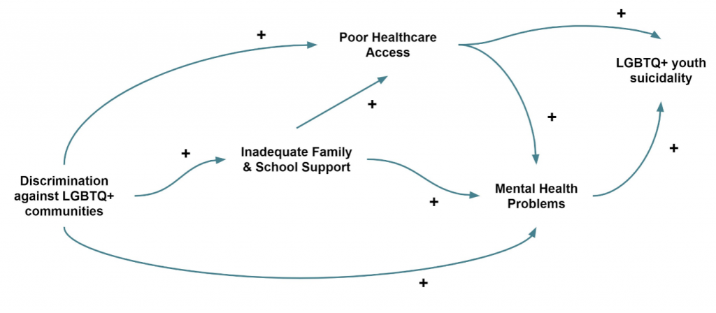 Figure 2: Causal Loop Diagram: Determinants Associated with Suicidality in LGBTQ+ Youth