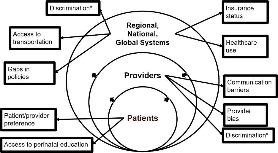 Figure 1. Adapted Socioecological Framework