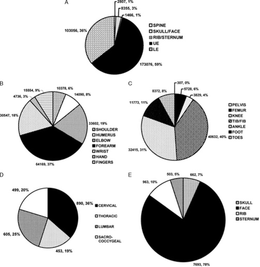 Figure 1: Prevalence of fractures by body region. A: Overall distribution. B: Upper extremity. C: Lower extremity. D: Spine. E: Skull/face and rib/sternum.  Reproduced from Loder at al. 13.