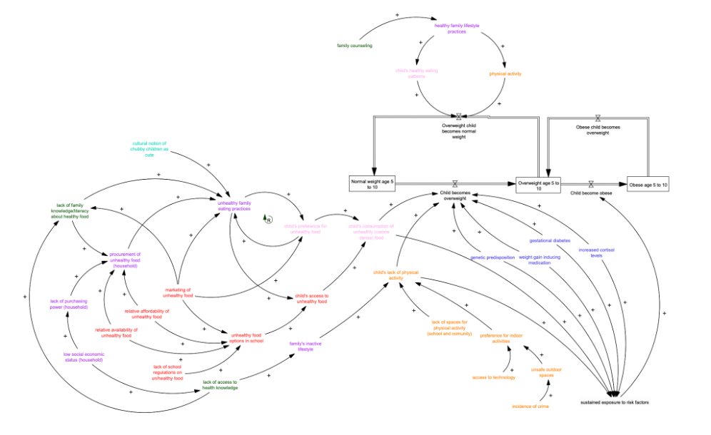 Figure 1. A Causal Loop Diagram Of Childhood Obesity In The Philippines