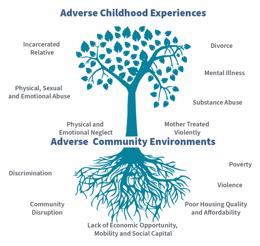 Aces Tree Figure 2 (1)