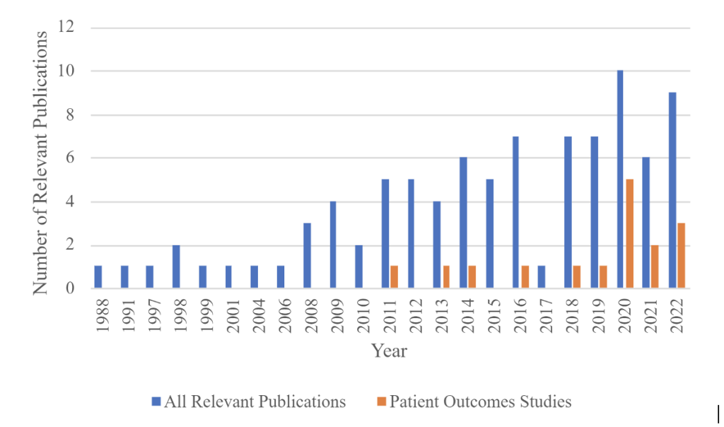 Figure 3 – Publications by Year