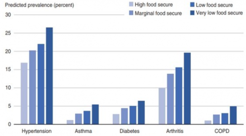 Food Insecurity and Chronic Disease